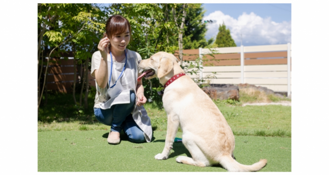 社会福祉法人日本介助犬福祉協会公認 「介助犬導入相談専門員」通信認定講座 教材テキスト執筆の一部を担当しました