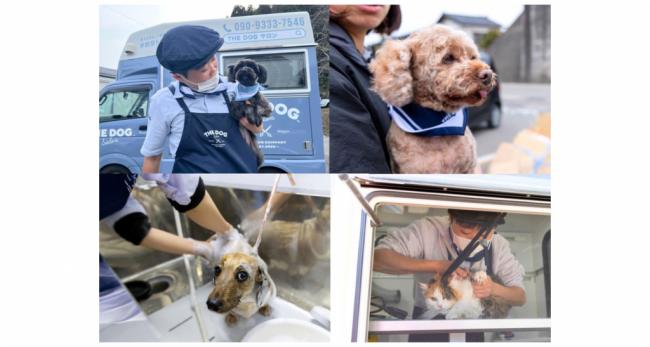 【令和6年能登半島地震】ピースワンコ・ジャパン×THE DOG™ Salon Trimming Wagon、能登半島地震被災者支援 出張トリミング第2弾の実施が決定