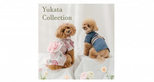 麻混・綿素材を用いた「浴衣コレクション」を4月24日（金）から順次販売開始