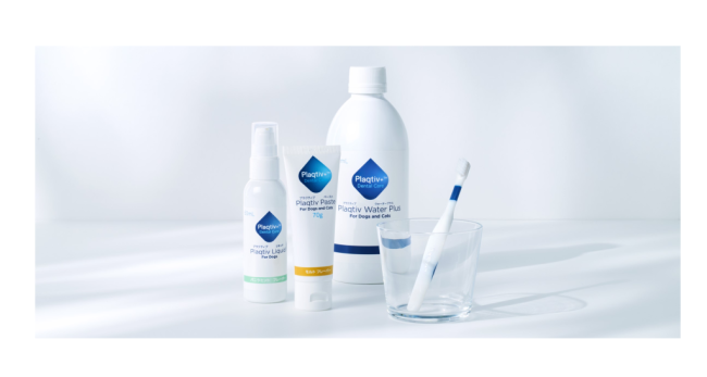 イギリス発の獣医師推奨デンタルケアブランド「Plaqtiv+（プラクティブプラス）」が日本上陸